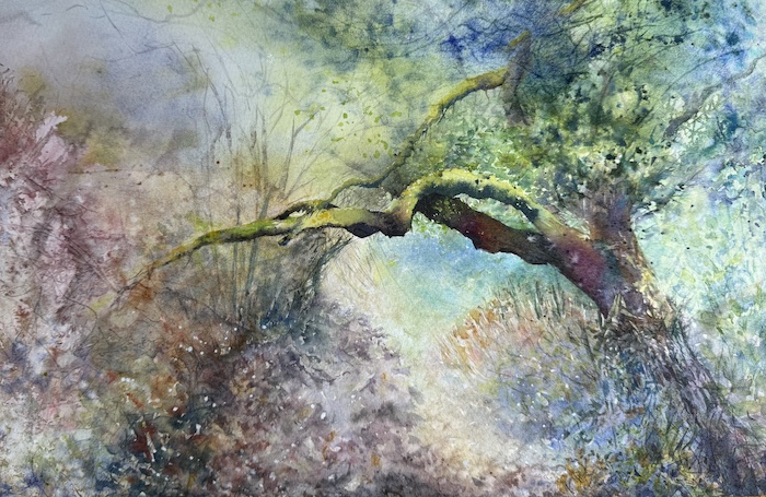 'Parc Shady' by Cathy Eastment