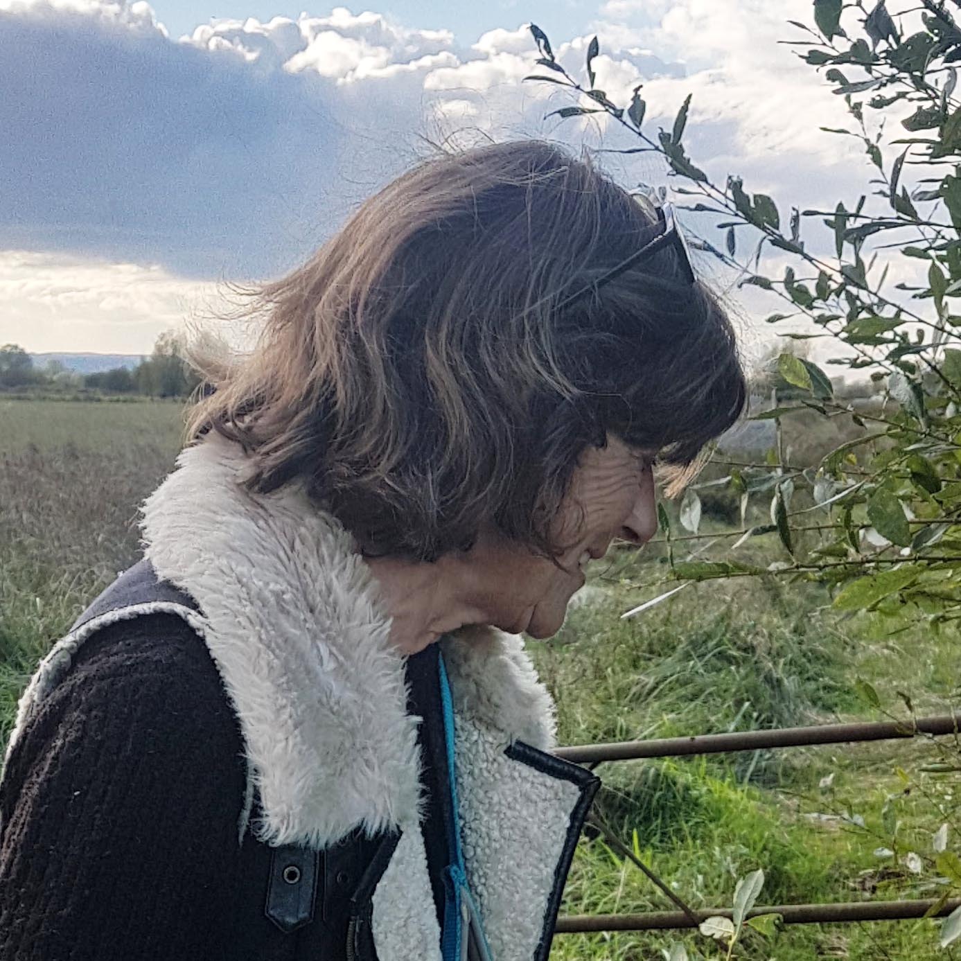 Sarah Chalmers, artist
