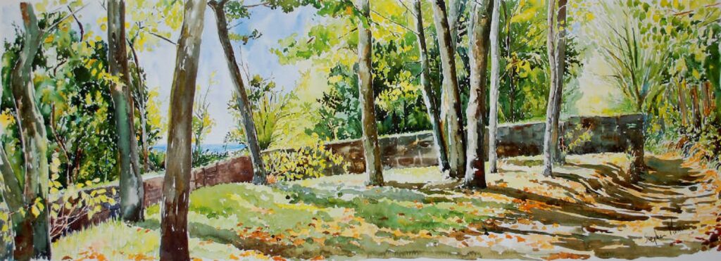 Garrison Elms on a September Morning by Stephen F Morris