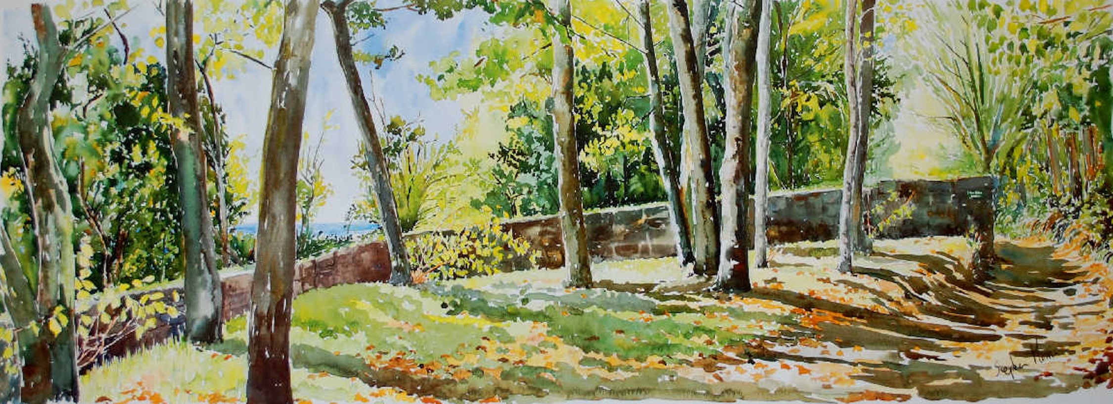 Garrison Elms on a September Morning by Stephen F Morris