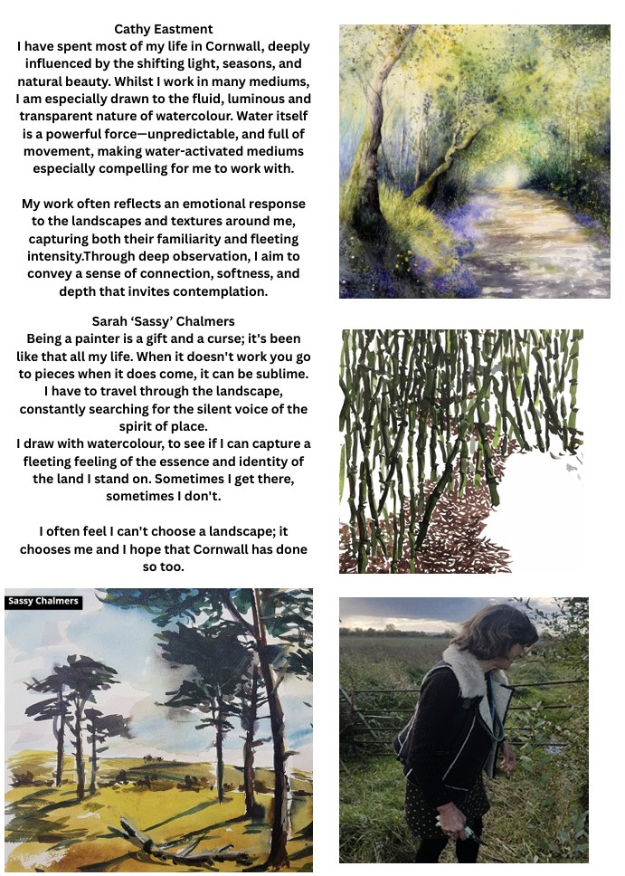 Cathy Eastment 'The shifting Light' watercolours. Sarah Chalmers 'Being a painter is a gift and a curse'